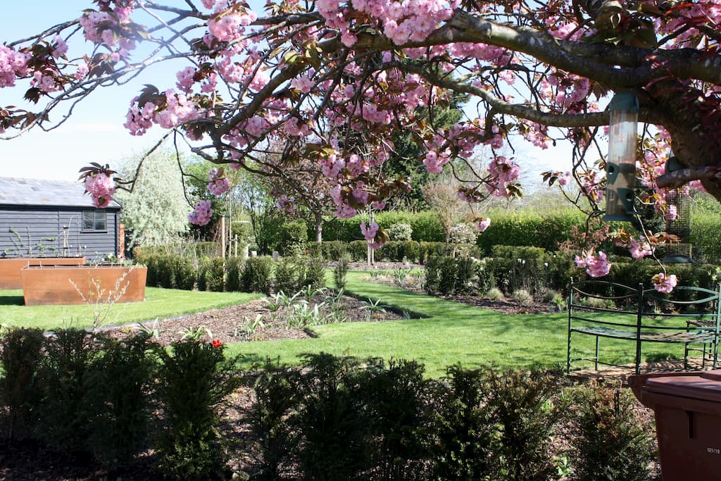 Photograph of a subdivided garden by Llevelo Garden Designs