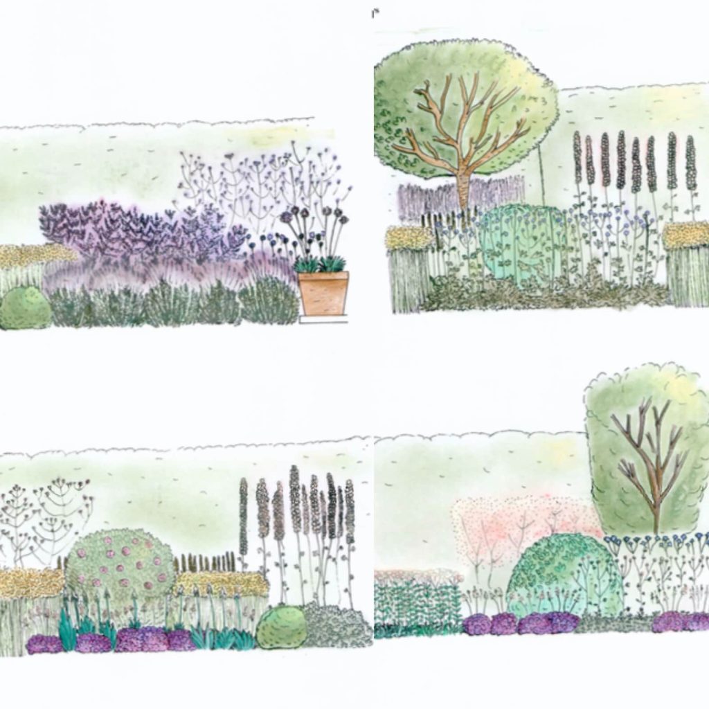 Hand drawn garden designs