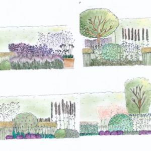 Colour and form of plants. Llevelo Garden Design  Essex Suffolk