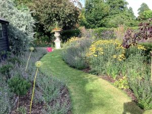 Designer Garden Design London Hertfordshire perennial planting