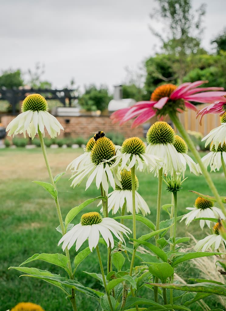 Designing Family Garden Spaces