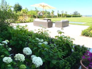 Views from the house; different aspects create subtle layers of interest. Hydranges next to a patio.