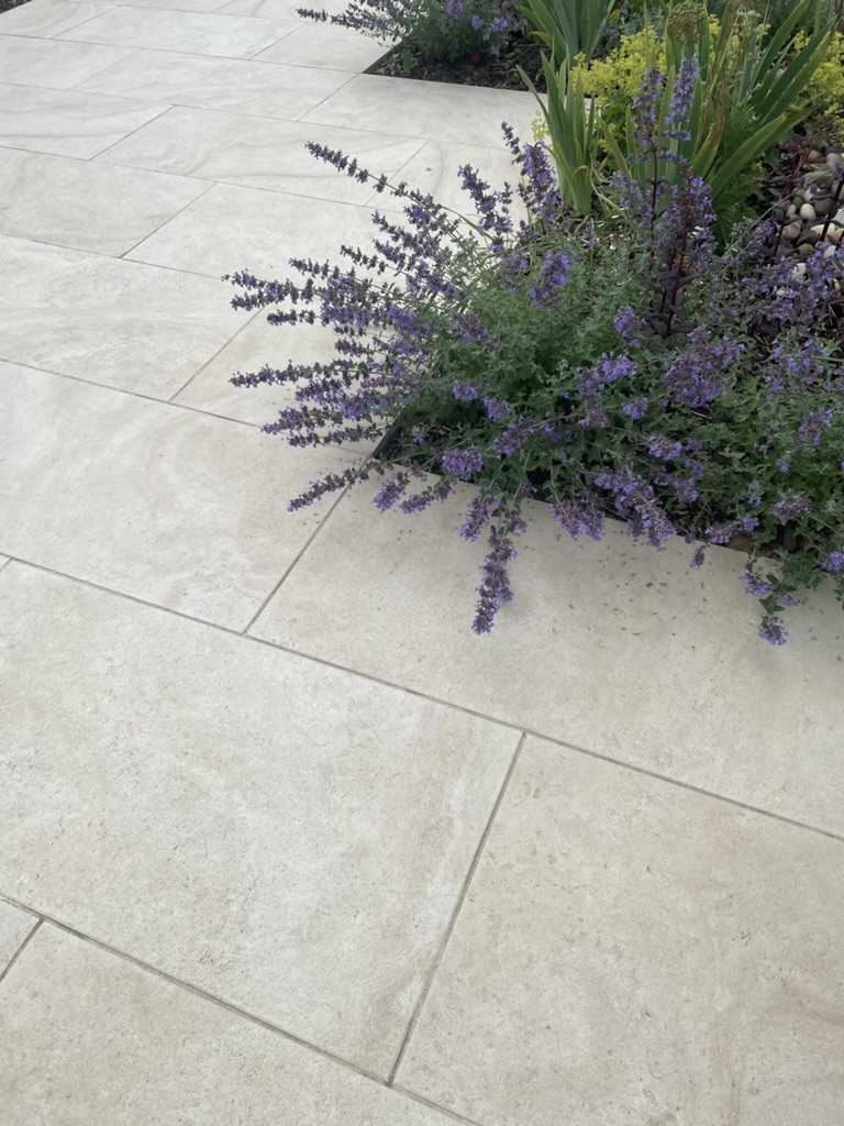 Nepeta cascades on to nearby porcelain paving. The colour contrast is stunning and oozes style.