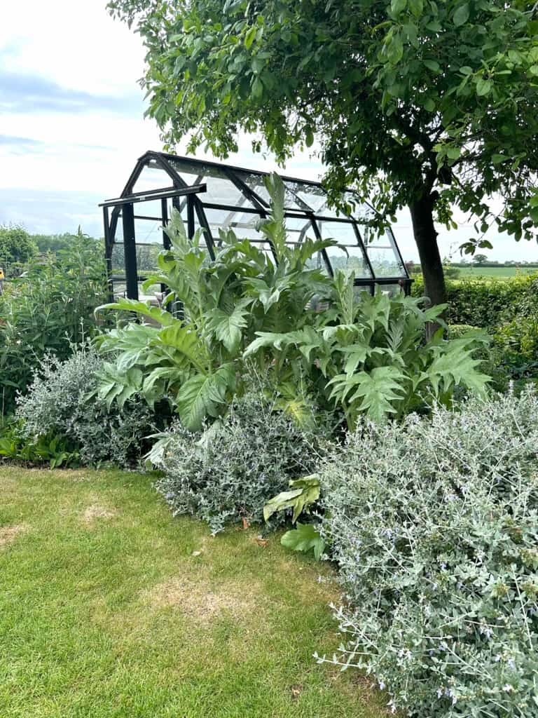 A stylish greenhouse in the garden surrounded by a mix of different green shrubs, plants and bushes.