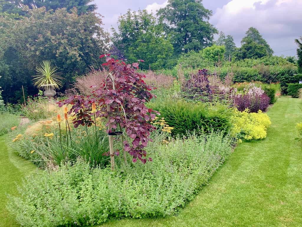 Photo of a garden in summer with borders full of colourful plants. A mown lawn pathway runs away from the camera on the left hand side