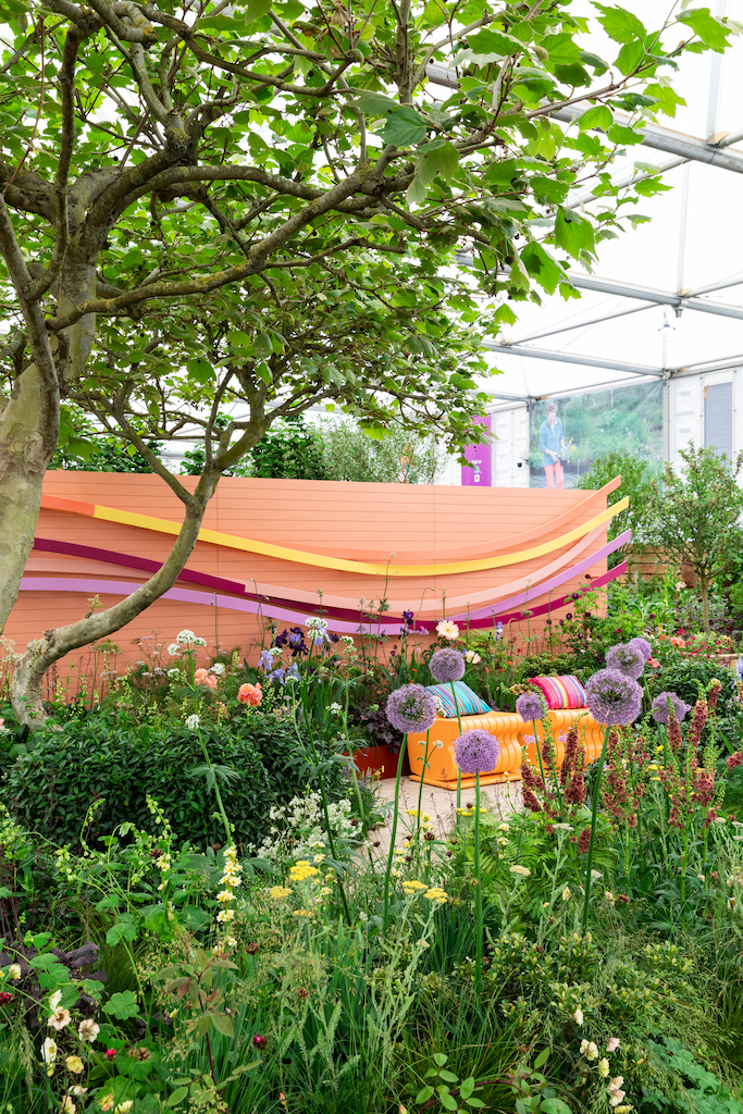 A colourful garden with bright boundary wall and a wide variety of colourful cottage garden plants