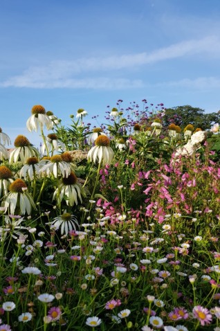 garden-design-flowers