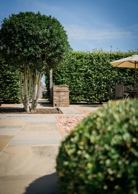 Garden designer Colchester